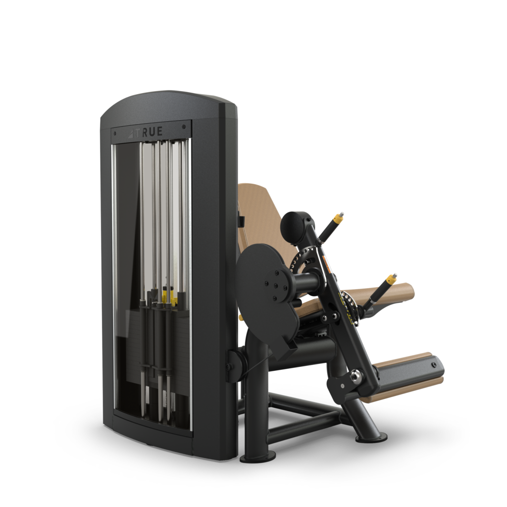True Fitness Palladium Leg Extension