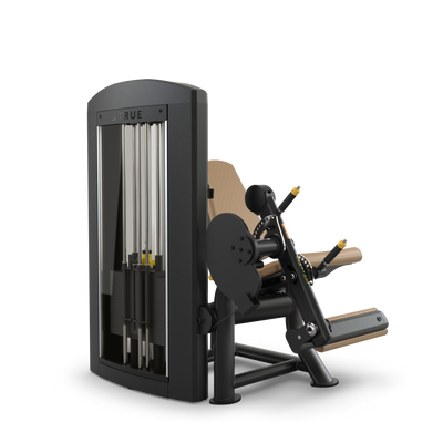 True Fitness Palladium Leg Extension