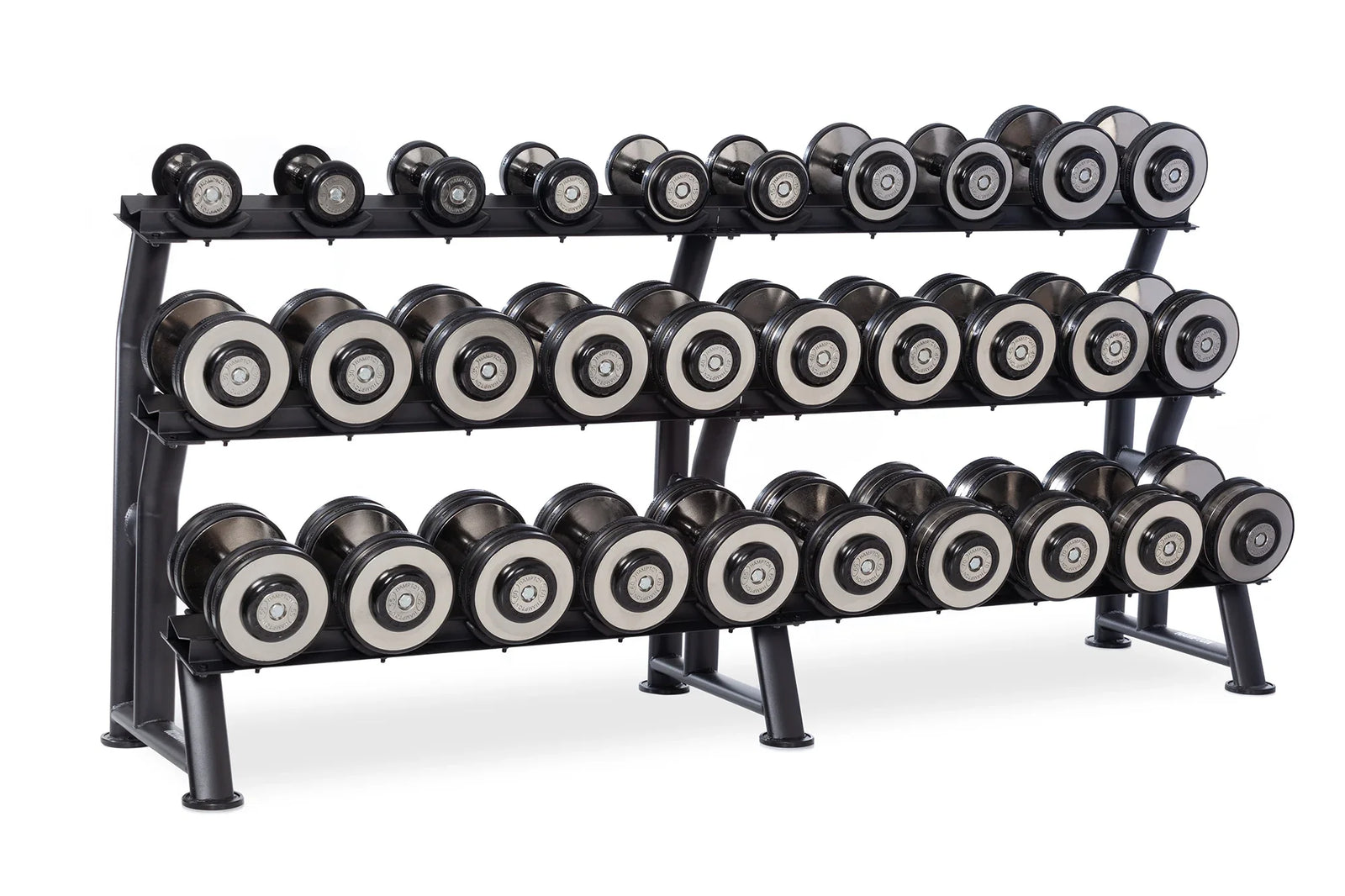 Eclipse Pro Style Dumbbell Set 55-100lb
