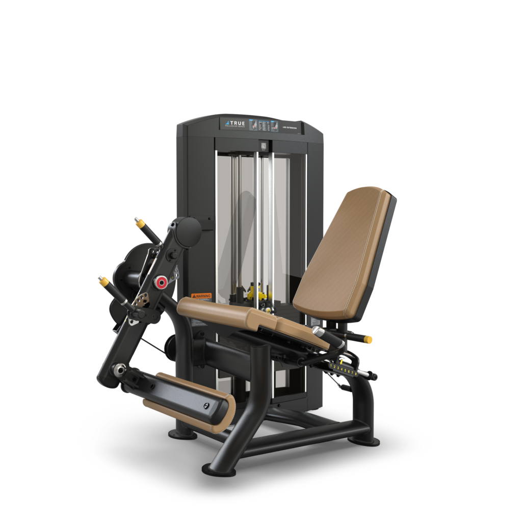 True Palladium Seated Leg Extension