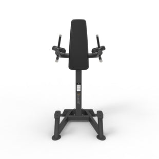 Spirit Vertical Leg Raise/Dip