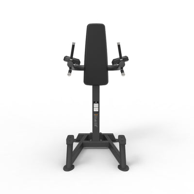 Spirit Vertical Leg Raise/Dip