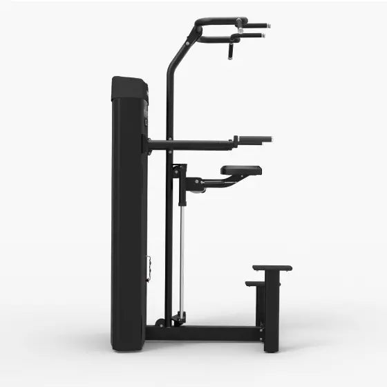 Spirit Dual Pull Up/Dip Assist CSD-PUDA