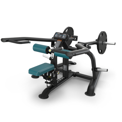 True Palladium Triceps Extension (plate loaded)