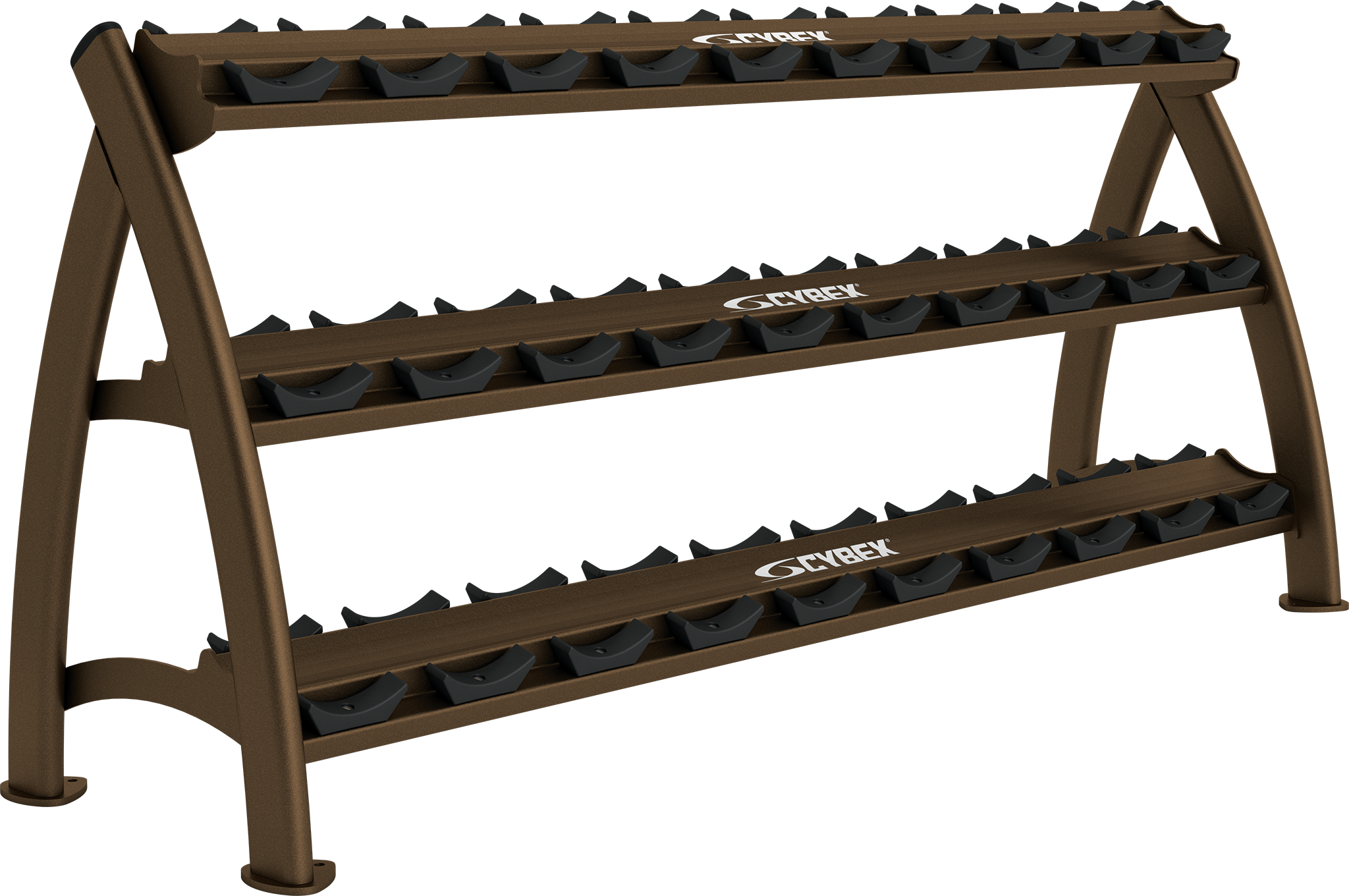 Cybex dumbbell rack hotsell
