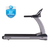 TRUE Fitness Performance 300 Treadmill